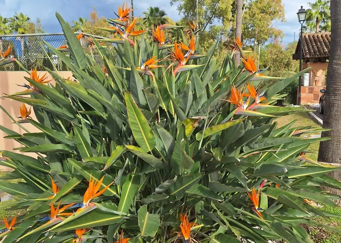 !! New !! Splendide Duplex-penthouse 250 M2 - 3ch Et Tennis , Golf, Padle Apartment