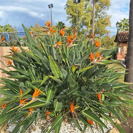 Splendide Duplex-penthouse 255m2 - 3ch Apartman