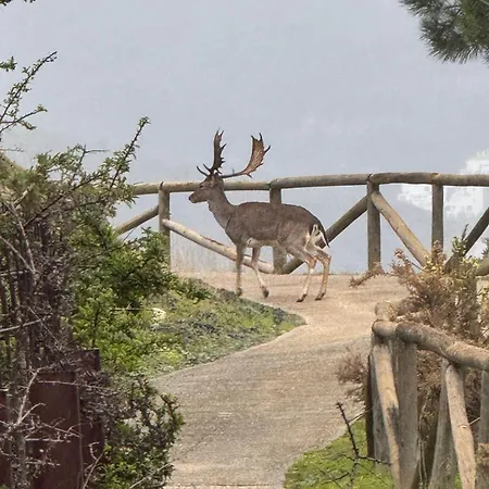 Apartman Splendide Duplex-penthouse 255m2 - 3ch