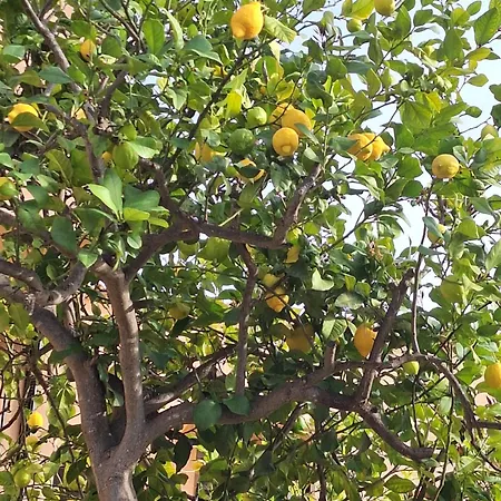 Splendide Duplex-penthouse 255m2 - 3ch * Estepona