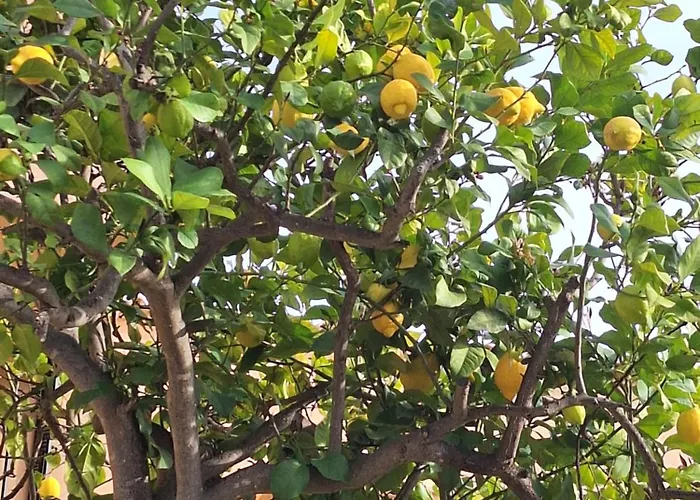 !! New !! Splendide Duplex-penthouse 250 M2 - 3ch Et Tennis , Golf, Padle * エステポナ